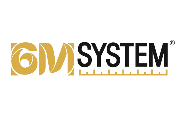 INSPIRAH-Logo-6MSYSTEM