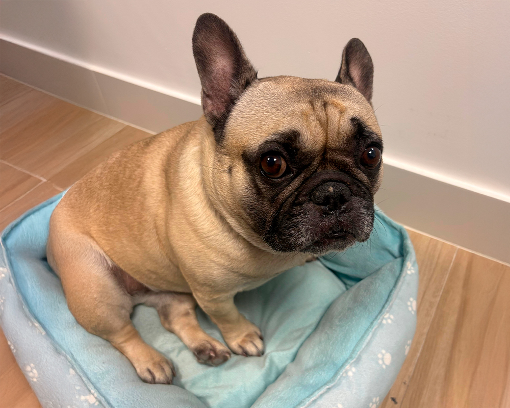 INSPIRAH-Nosotros-35